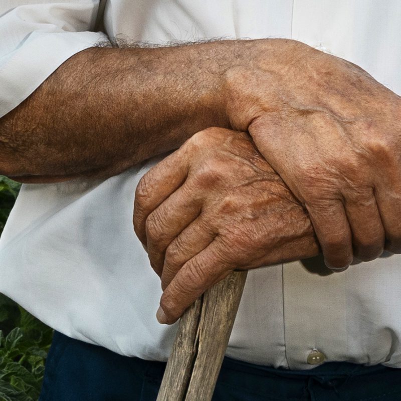 Pension Pension