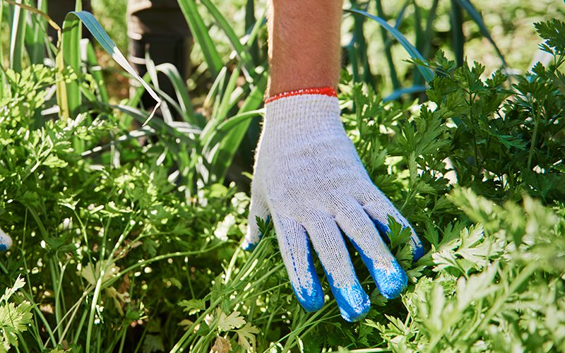 sante_et_securite_au_travail