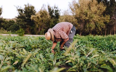 Limites d’heures travaillées par jour