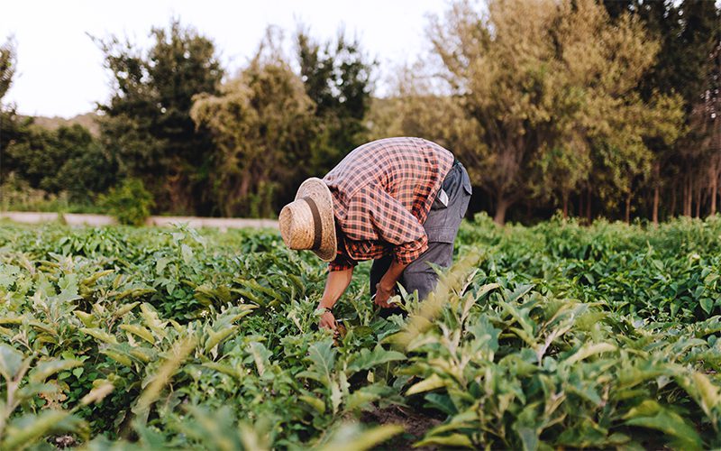 Limites d’heures travaillées par jour
